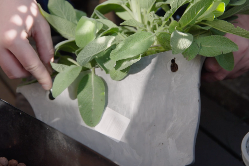 Een plantenbak met gaatjes Een plantenbak met gaatjes