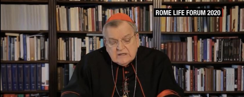 Cardinal Burke Burke vaccine