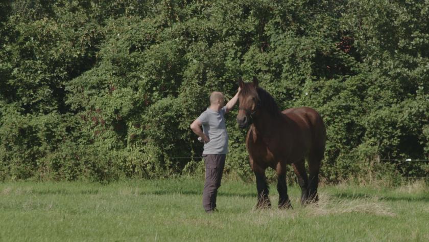 Jethro met paard Jethro met paard
