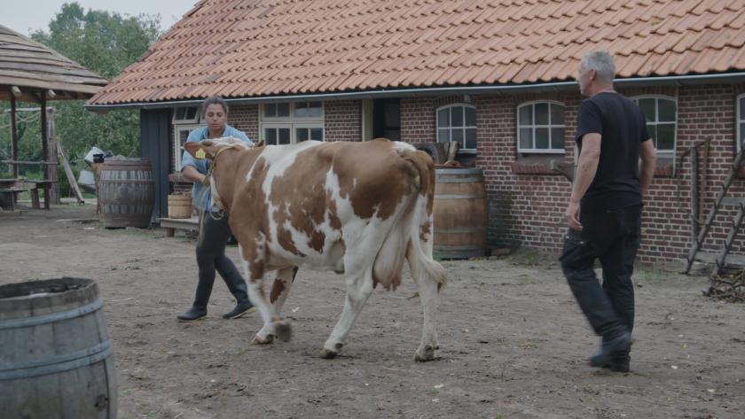 Francoise en Jos met de koe Francoise en Jos met de koe