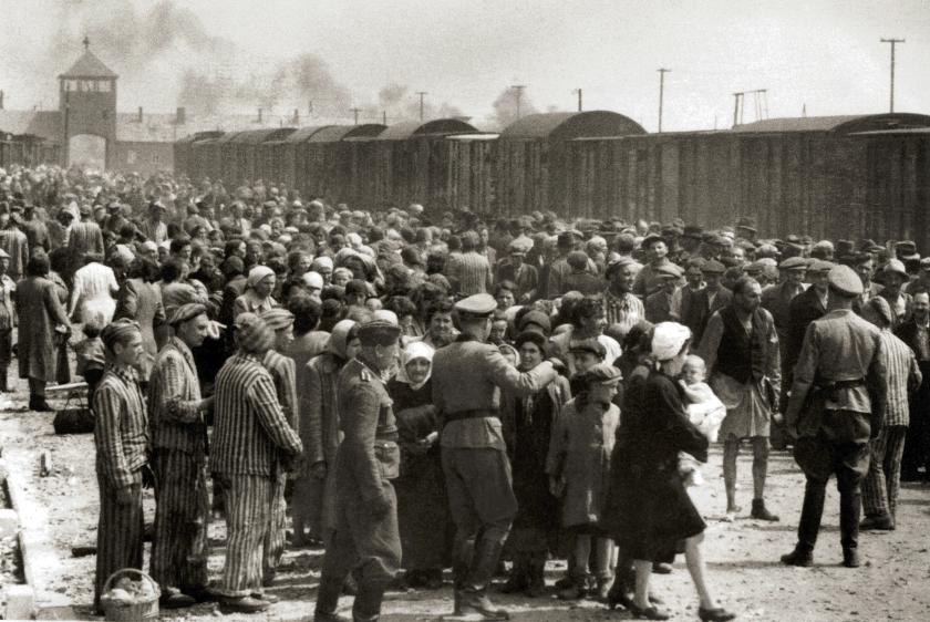 "Selection" of Hungarian Jews on the ramp at Auschwitz II-Birkenau in German-occupied Poland, around May 1944. Jews were sent either to work or to the gas chamber. The photograph is part of the collection known as the Auschwitz Album. "Selection" of Hungarian Jews on the ramp at Auschwitz II-Birkenau in German-occupied Poland, around May 1944. Jews were sent either to work or to the gas chamber. The photograph is part of the collection known as the Auschwitz Album.