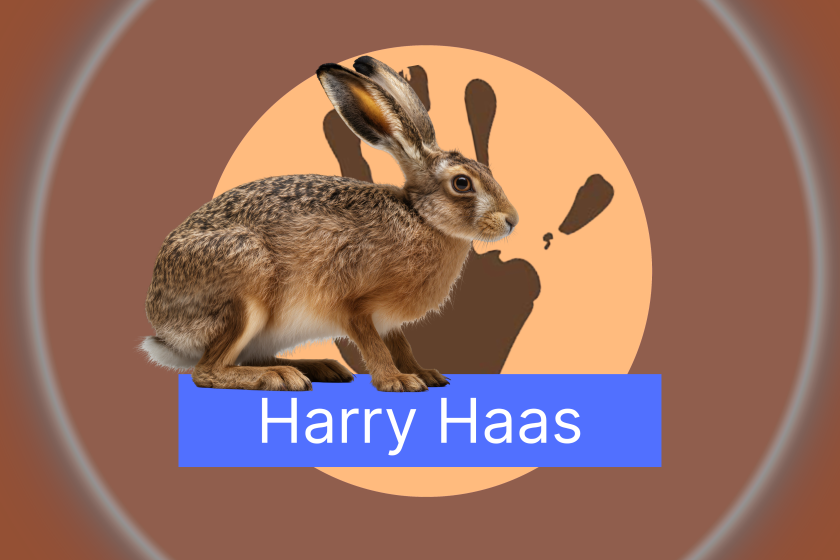 afl_19_badge_harry_haas.png