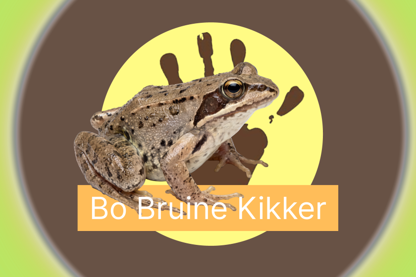 Bo Bruine kikker Landje van Tim