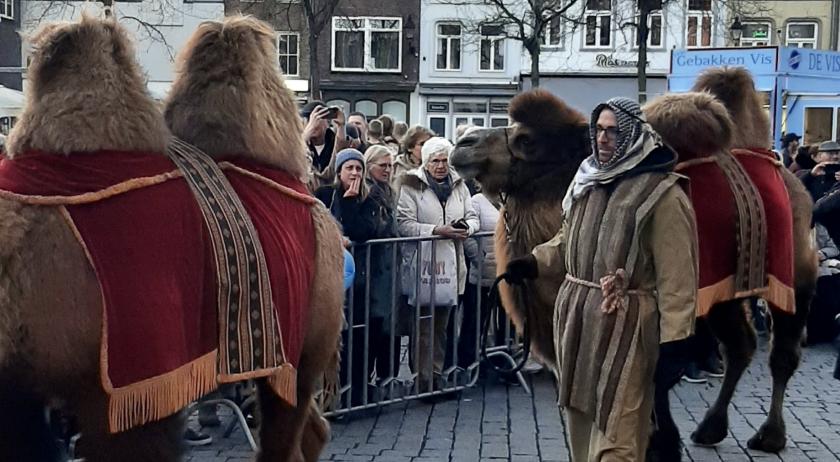 Kamelen bij Driekoningenoptocht Kamelen bij Driekoningenoptocht Den Bosch