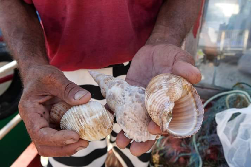 fotografie_dag_-_odette_kleeblatt_-_haven_paphos_cyprus Foto in de haven van Paphos Cyprus