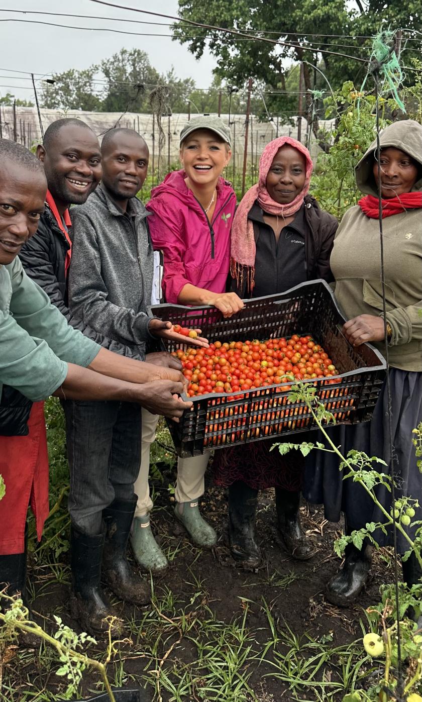 Een groep mensen laat tomaten zien