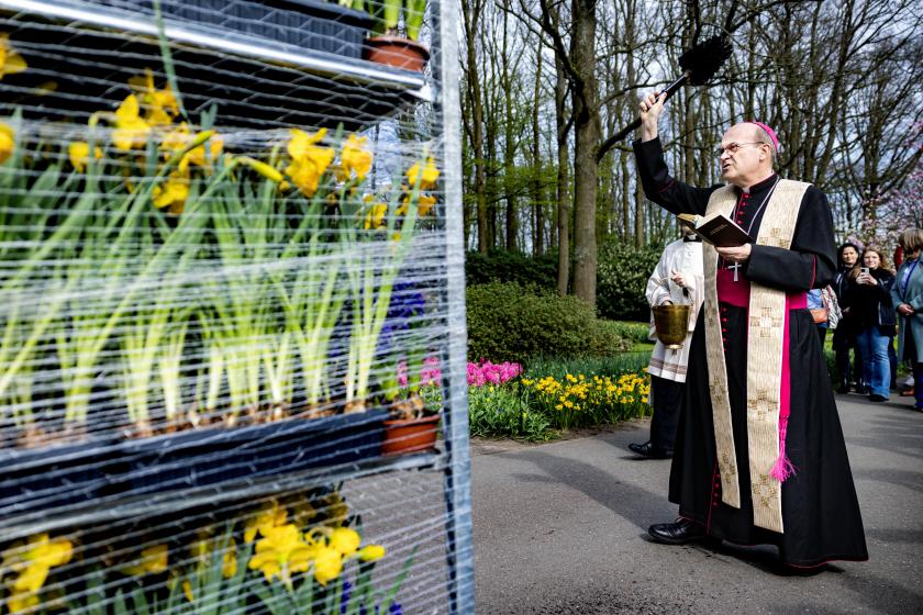 Bisschop van Rotterdam Hans van den Hende zegent bloemen in de Keukenhof, voordat deze vertrekken naar het Vaticaan. Paus Franciscus zal tijdens het uitspreken van de traditionele zegen Urbi et Orbi vanaf het balkon van de Sint-Pietersbasiliek omringd worden door de Nederlandse bloemen. ANP RAMON VAN FLYMEN Bisschop van Rotterdam Hans van den Hende zegent bloemen in de Keukenhof, voordat deze vertrekken naar het Vaticaan. Paus Franciscus zal tijdens het uitspreken van de traditionele zegen Urbi et Orbi vanaf het balkon van de Sint-Pietersbasiliek omringd worden door de Nederlandse bloemen. ANP RAMON VAN FLYMEN
