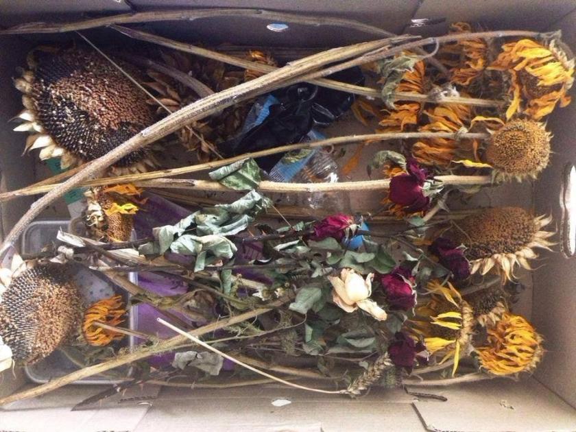 Verdorde zonnebloemen en rozen van de rampplek Verdorde zonnebloemen en rozen van de rampplek