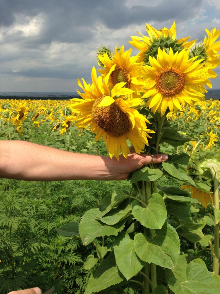 Joris met zonnebloemen in zijn hand Joris met zonnebloemen in zijn hand