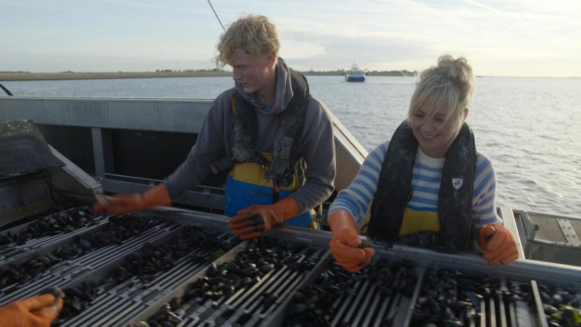 twee mensen oogsten mosselen
