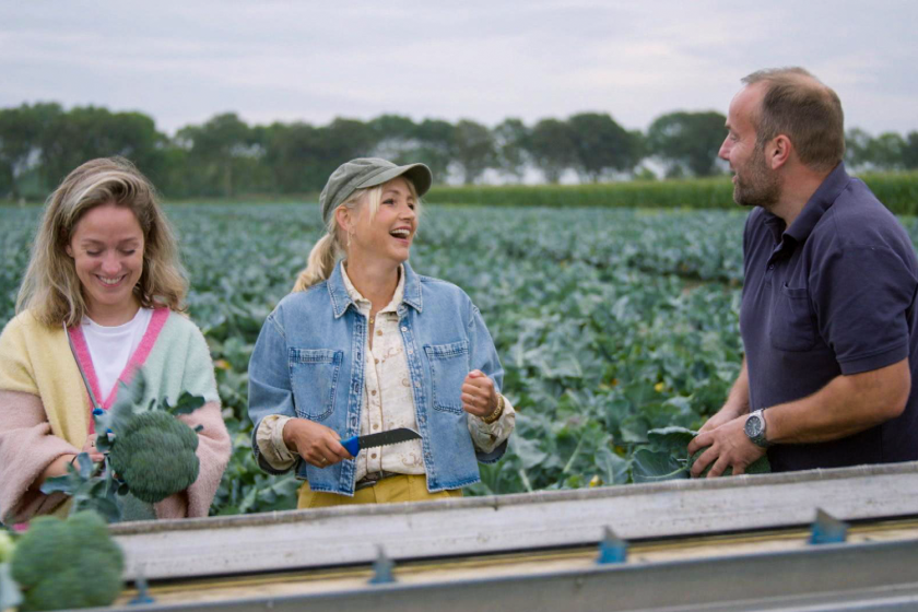 drie mensen aan het oogsten