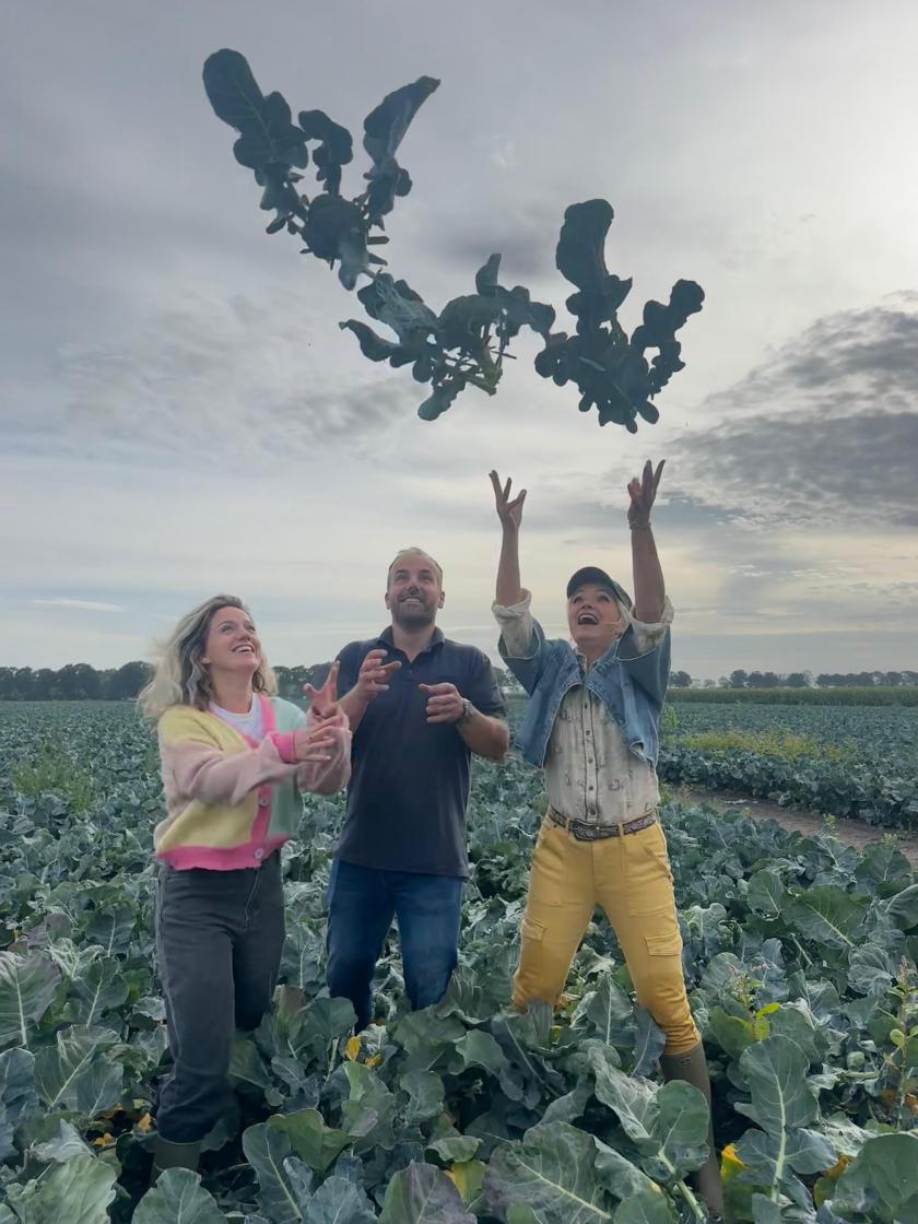 drie mensen gooien broccoli's omhoog in een broccoliveld