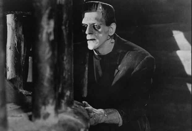 Het monster van Frankenstein