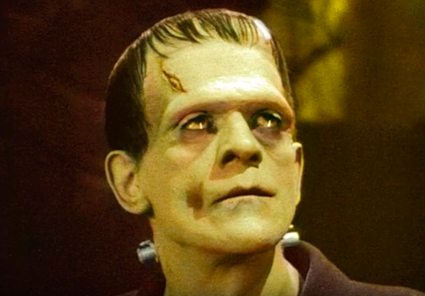 Het monster van Frankenstein
