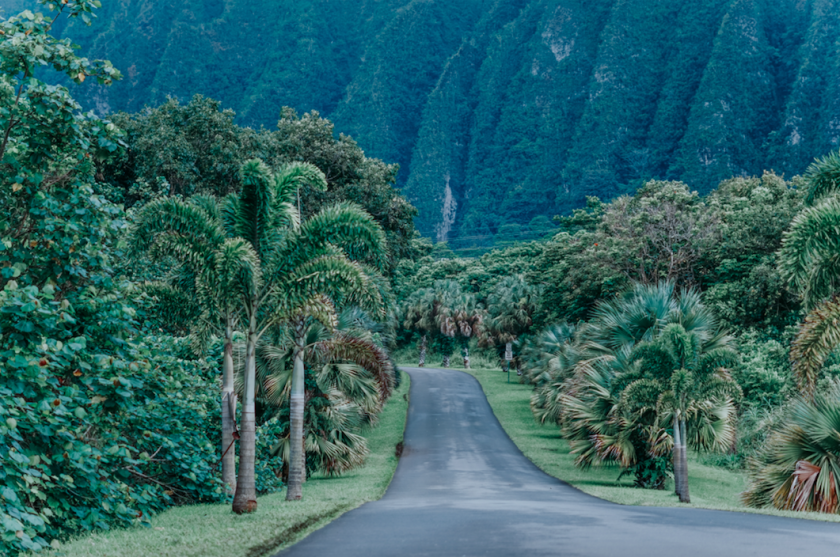Foto: Hawaï. Via Jessica to Oto, Unsplash