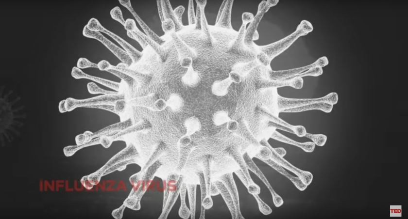griepvirus