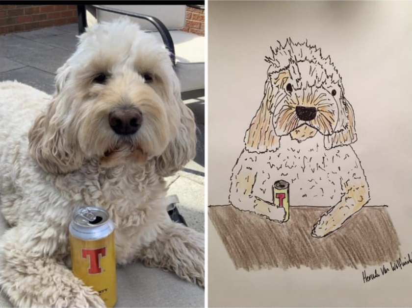 Pet Portraits By Hercule