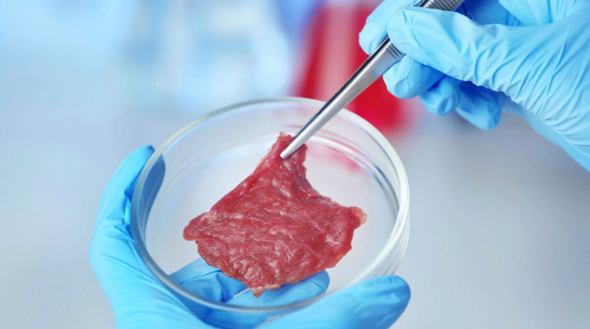 Vlees uit het laboratorium Vlees uit het laboratorium