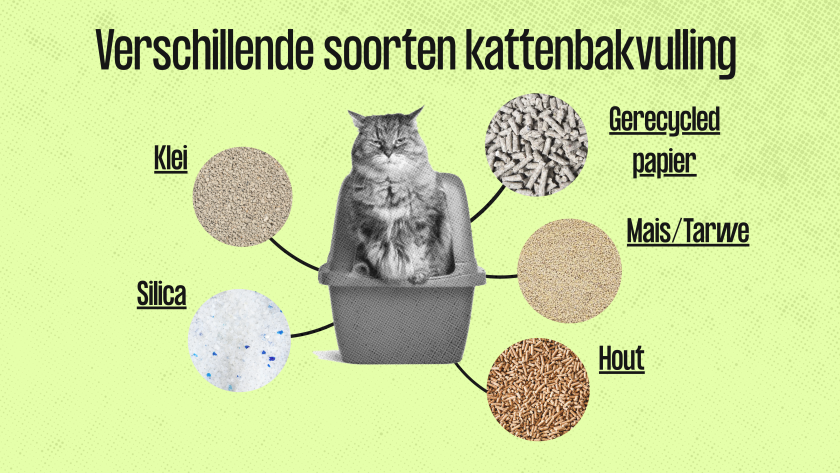 Illustratie verschillende soorten kattenbakvulling - Keuringsdienst van waarde