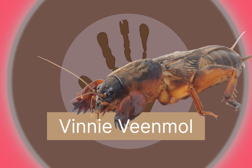 Landje van Tim - Vinnie Veenmol