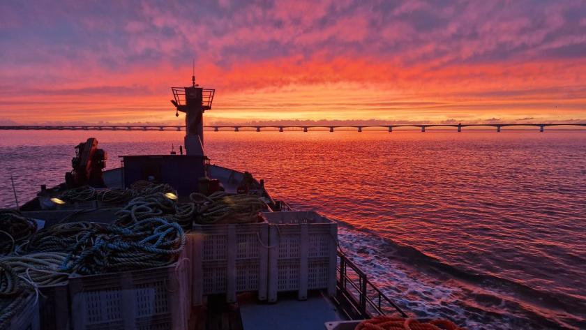 Zonsondergang vanaf een mosselboot