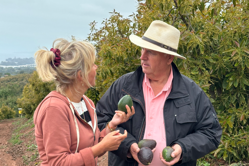 twee mensen houden avocado's vast