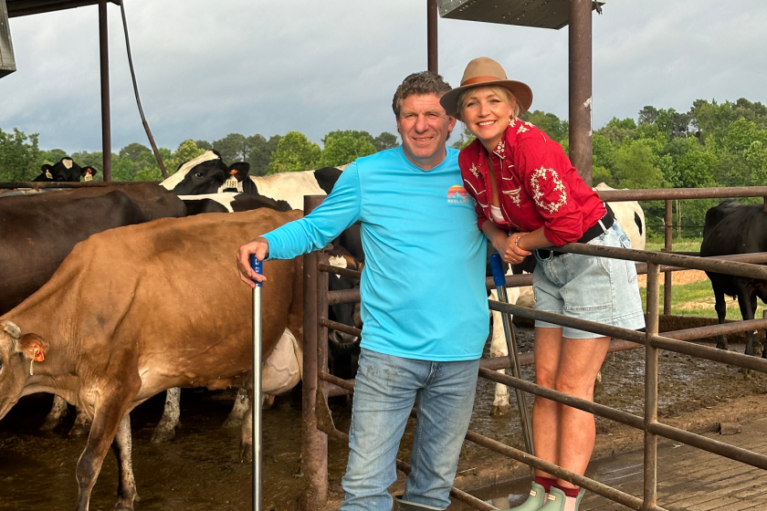 Een man en een vrouw met koeien