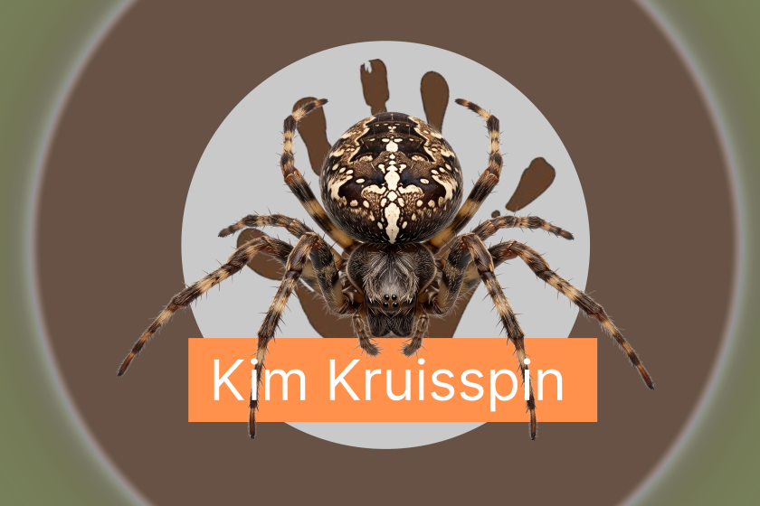 De badge voor Landje van Tim met Kim Kruisspin