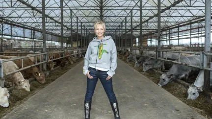 Onze boerderij: Yvon in stal 546-verkleind