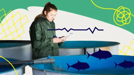 pointer afbeelding vis 