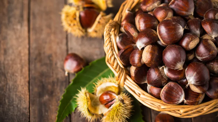 tamme kastanje eten recepten