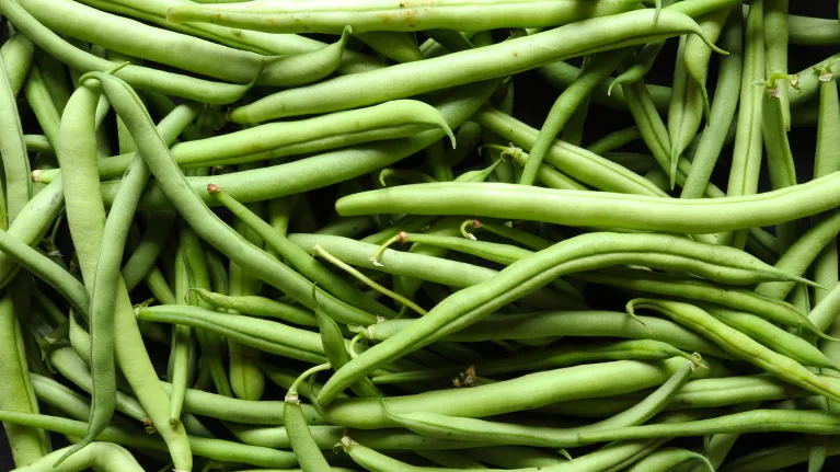 sperzieboon haricot vert verschil - keuringsdienst van waarde