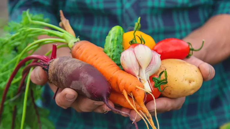 groenten beter niet rauw eten