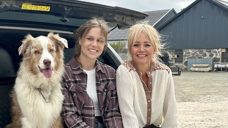 een hond en twee vrouwen zitten in de achterbak van een auto