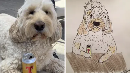 Pet Portraits By Hercule