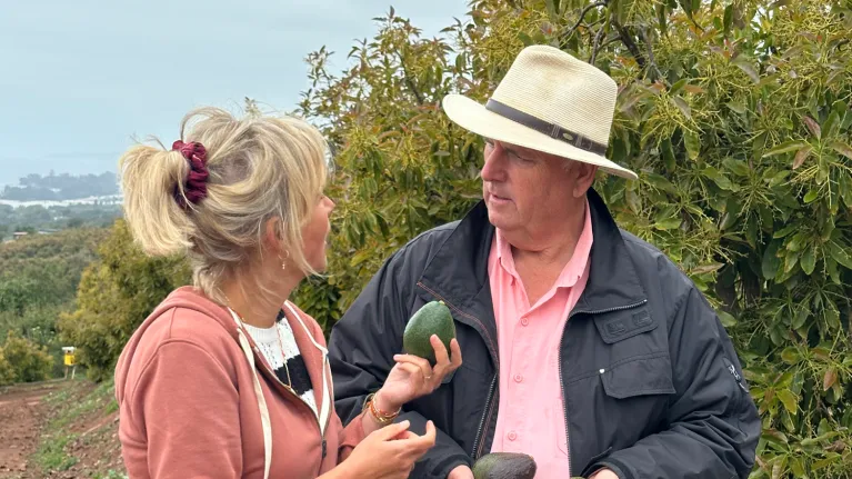 twee mensen houden avocado's vast