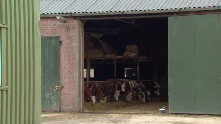 IJsboerderij