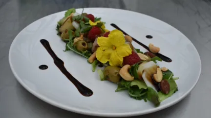 Salade met gebakken sopropo