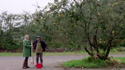 Waanzinnige walnotenplantage in het Gelderse Zoelen