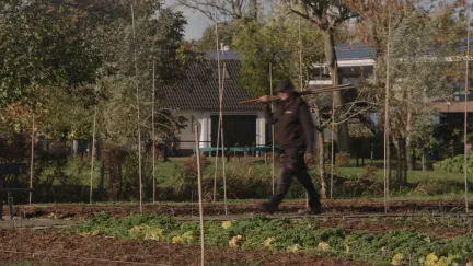 Alain op zoek naar bloemkool