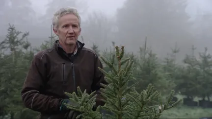 Adopteer een kerstboom in Groenekan