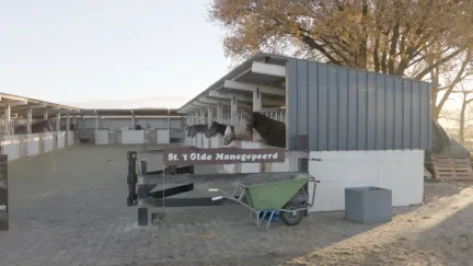 Manege met gepensioneerde paarden Dalmsholte