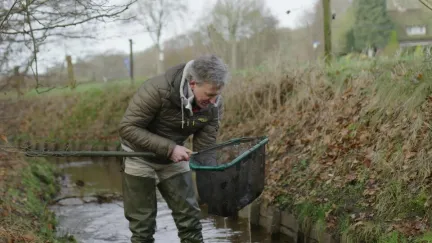 Onderwaterbossen en habitat van de beekvissen