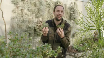 Tuinieren met kamerplanten