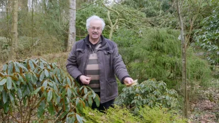 Kijktuin