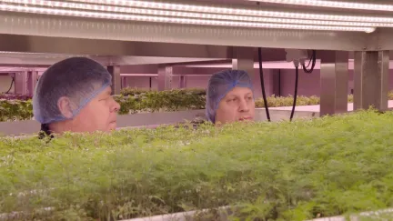 Leon bezoekt een boerderij van de toekomst
