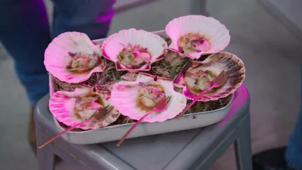 Recept Leon vertical farming Amsterdam