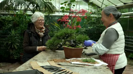 Vriendschap in een botanische tuin aan de Zuidas
