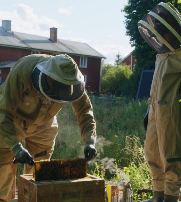 BinnensteBuitenland - KRO-NCRV