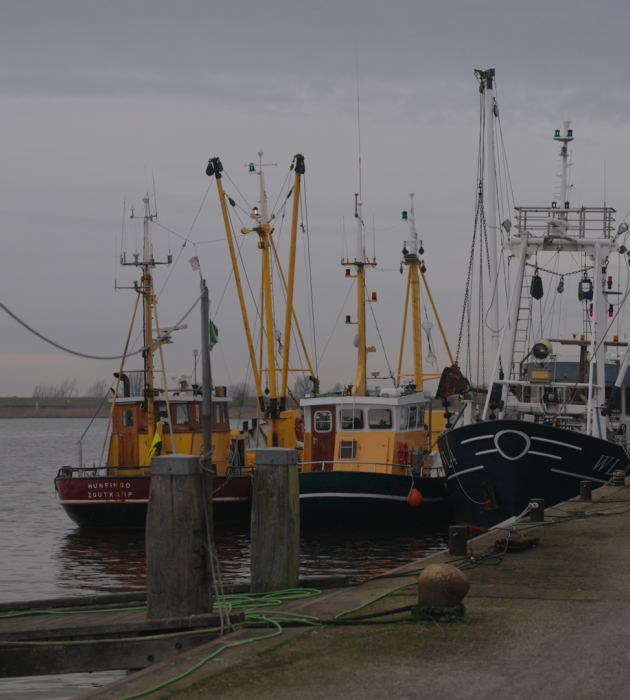 Vissermannen Pointer View KRO-NCRV